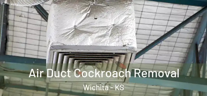  Air Duct Cockroach Removal Wichita - KS