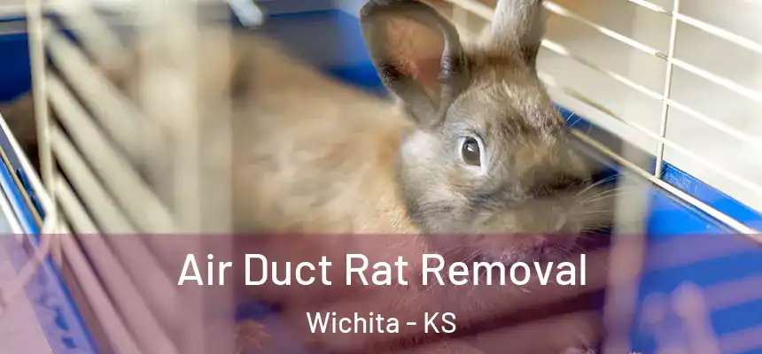  Air Duct Rat Removal Wichita - KS