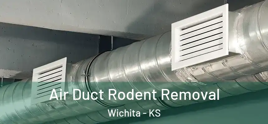 Air Duct Rodent Removal Wichita - KS