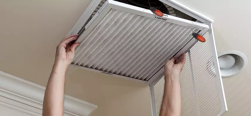 Preventive Cockroach-Proofing for Ducts in Wichita
