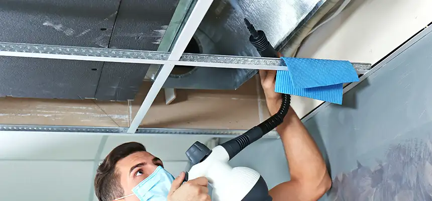 Our Air Duct Rodent Removal Services in Wichita, KS