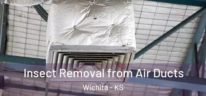  Insect Removal from Air Ducts Wichita - KS