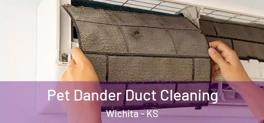 Pet Dander Duct Cleaning Wichita - KS