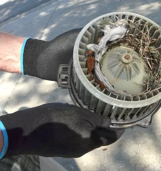 About Air Duct Rat Removal in Wichita, KS