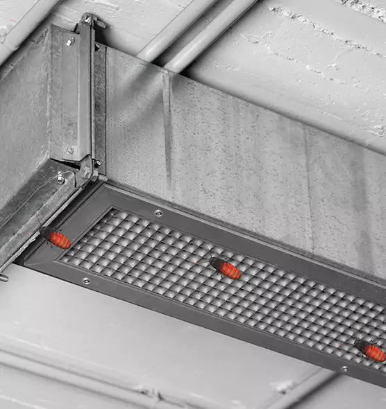 Affordable Insect Removal from Air Ducts in Wichita, KS