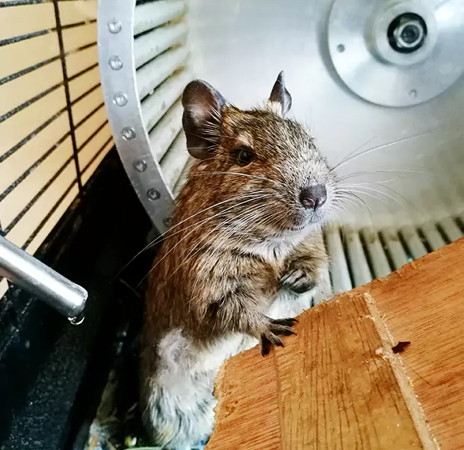 Why Homeowners & Businesses Trust Us Wichita, KS